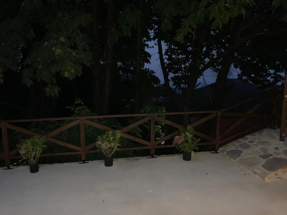 فيلا Pelion 7 Lives تساغارادا المظهر الخارجي الصورة
